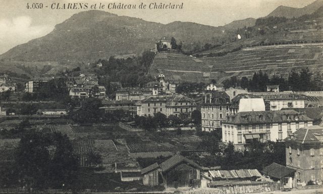 Les vignes avant le Collège Vinet