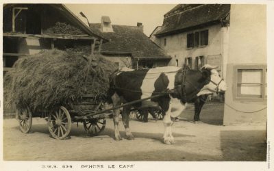 Char à bœuf devant l&rsquo;Auberge Communale