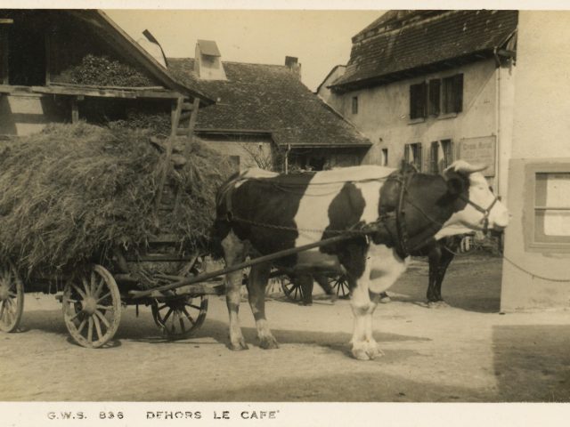 Char à bœuf devant l’Auberge Communale