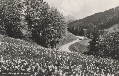 Route des Monts &#8211; Disparition de voiture