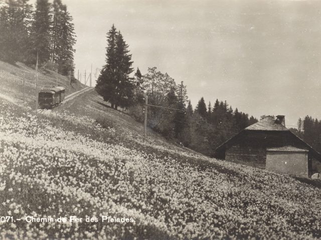 Chalet La Souricière