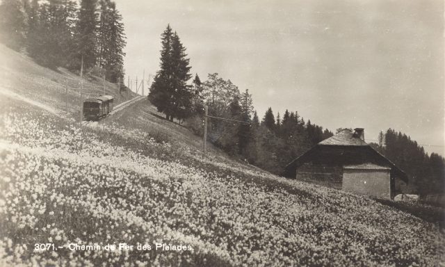 Chalet La Souricière