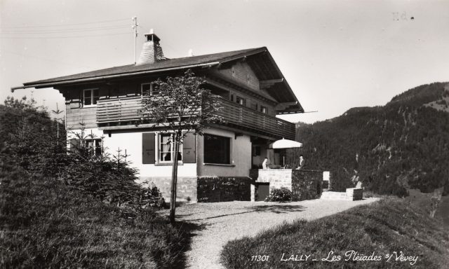 Chalet Fleisch